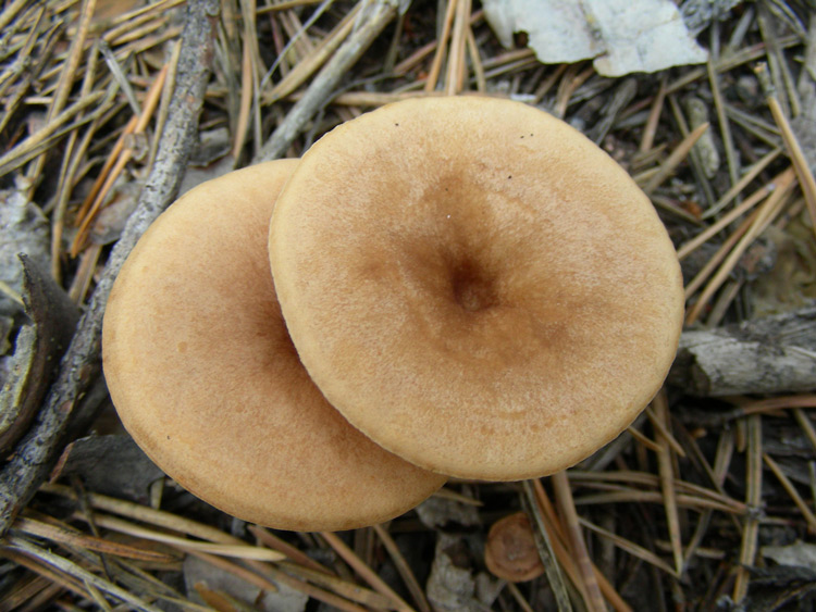 dscn9585.jpg
