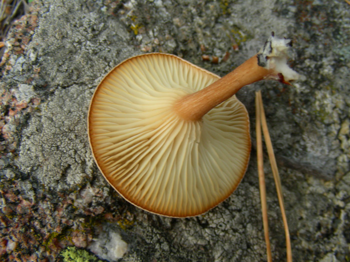 dscn9586.jpg