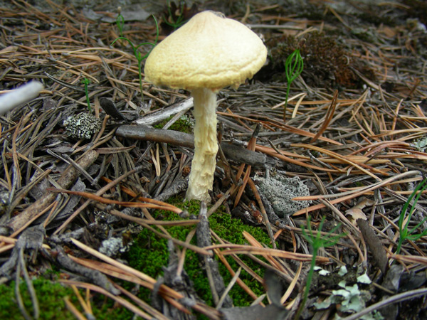 dscn9587.jpg
