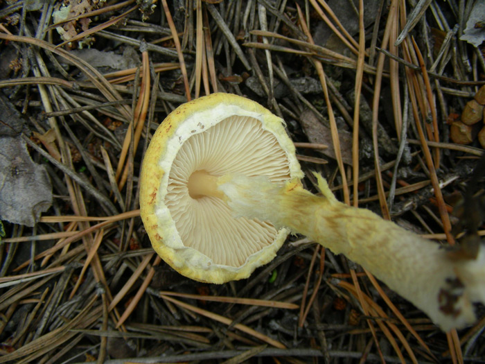 dscn9588.jpg