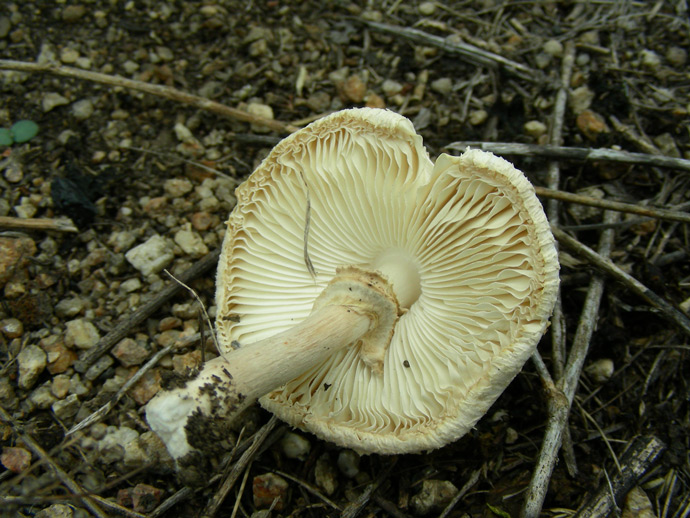 dscn9655.jpg