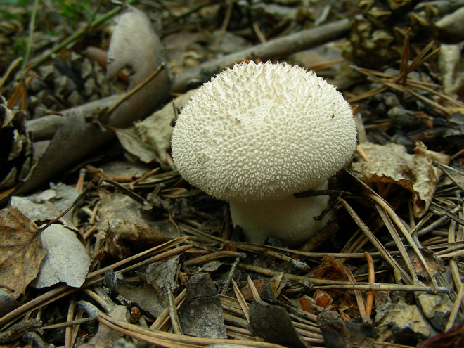 dscn9678.jpg