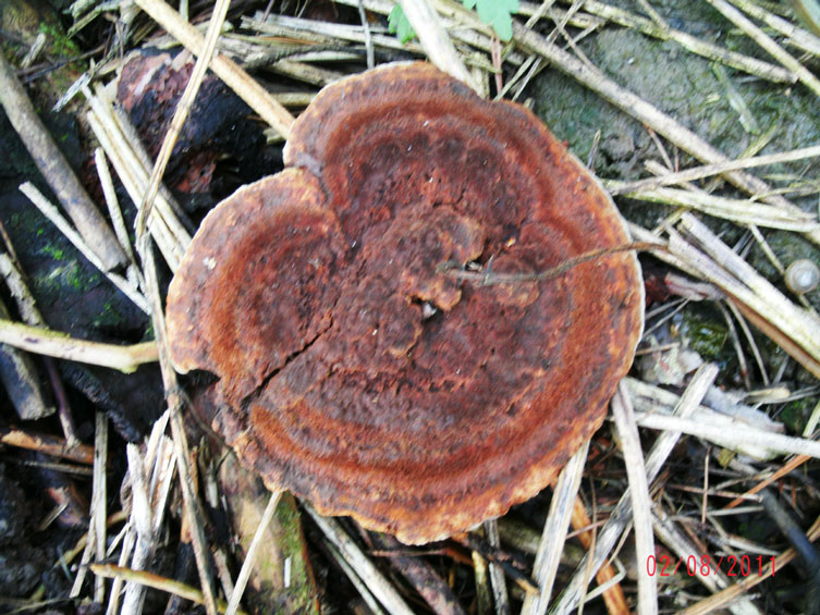 gedc0865.jpg