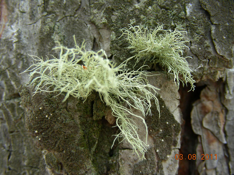 dscn7281.jpg