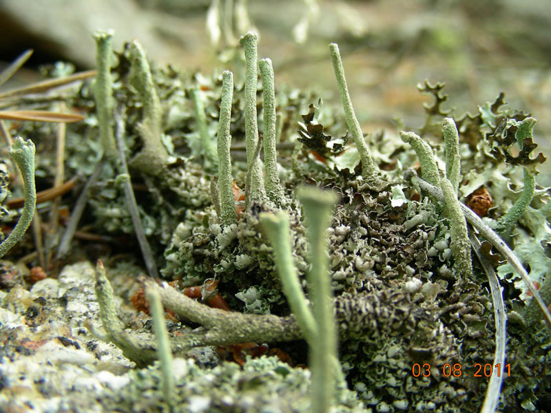 dscn7284.jpg