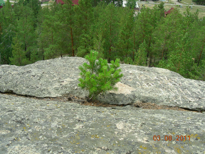 dscn7315.jpg