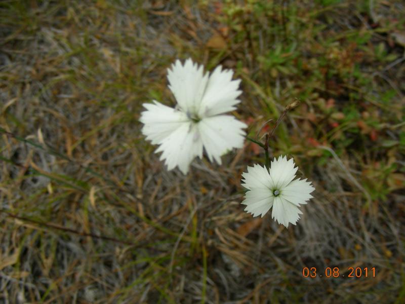 dscn7327.jpg