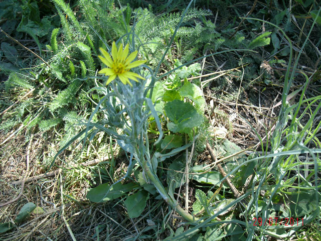 gedc0588.jpg