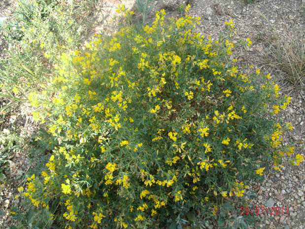 gedc0722.jpg