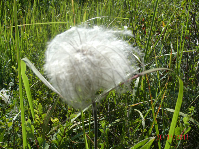 gedc0752.jpg