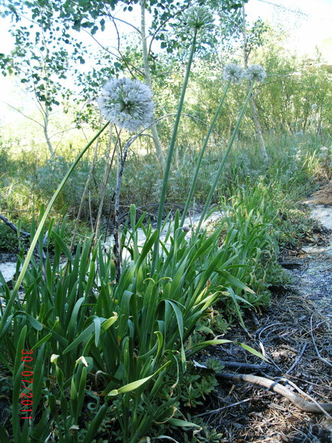 gedc0754.jpg