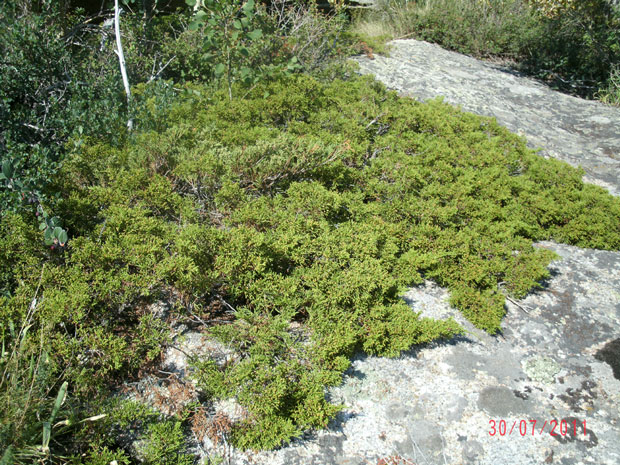 gedc0759.jpg