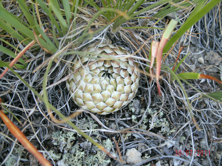 gedc0773.jpg