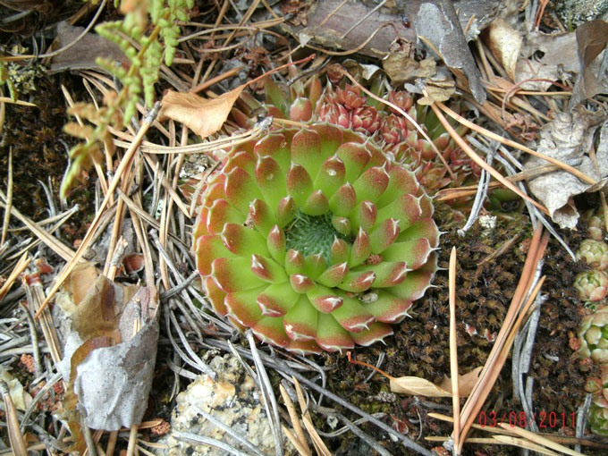gedc0966.jpg