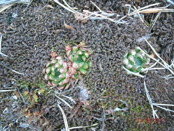 gedc0970.jpg