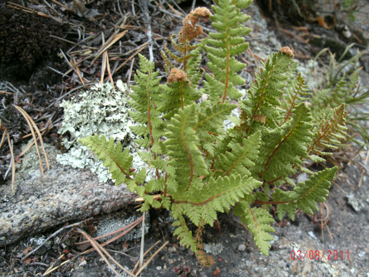 gedc0971.jpg