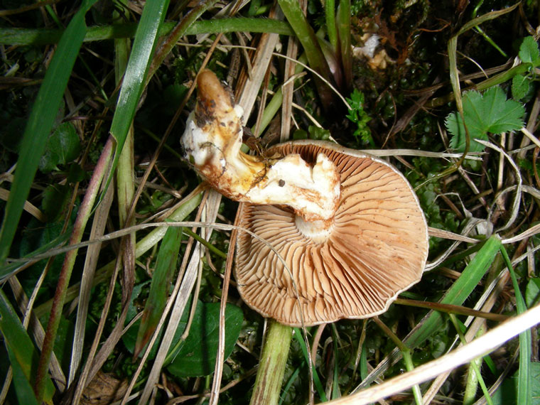dscn7416.jpg