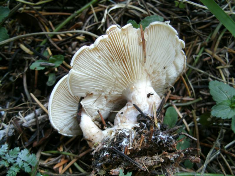 gedc1132.jpg