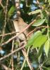 2012.05.20.44_t1.jpg