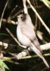 2012.05.20.45_t1_1.jpg