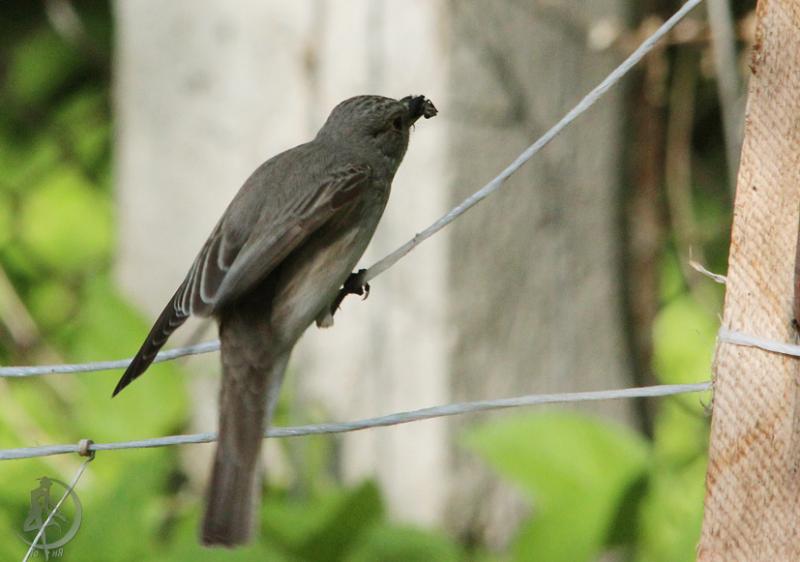 2012.05.20.47_1.jpg