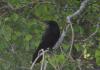 2012.05.26.0_t1.jpg