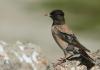 2012.05.26.79_t1.jpg