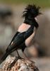 2012.05.26.81_t1.jpg