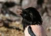 2012.05.26.82_t1.jpg