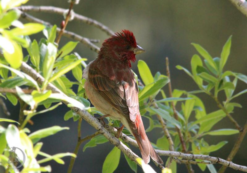 2012.06.09.206.jpg
