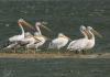 2012.06.16.173_t1.jpg