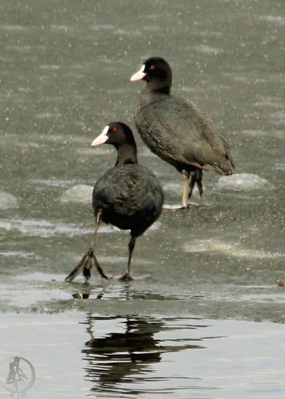 20120317.15_1.jpg