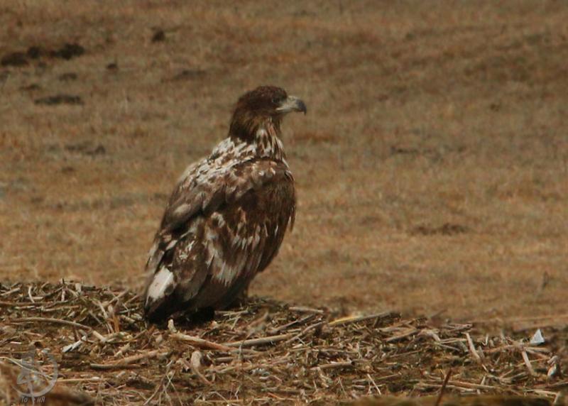 20120317.4.jpg