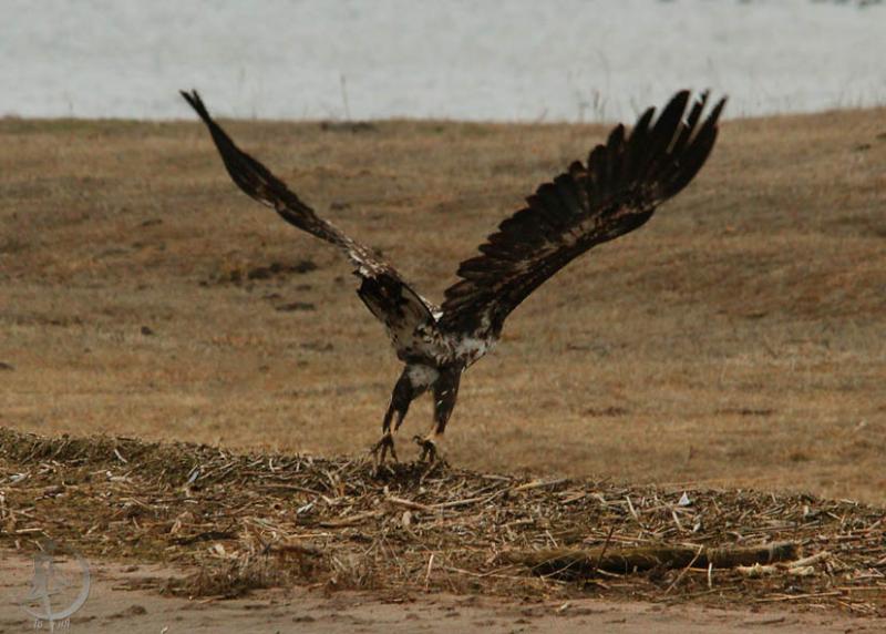 20120317.5.jpg