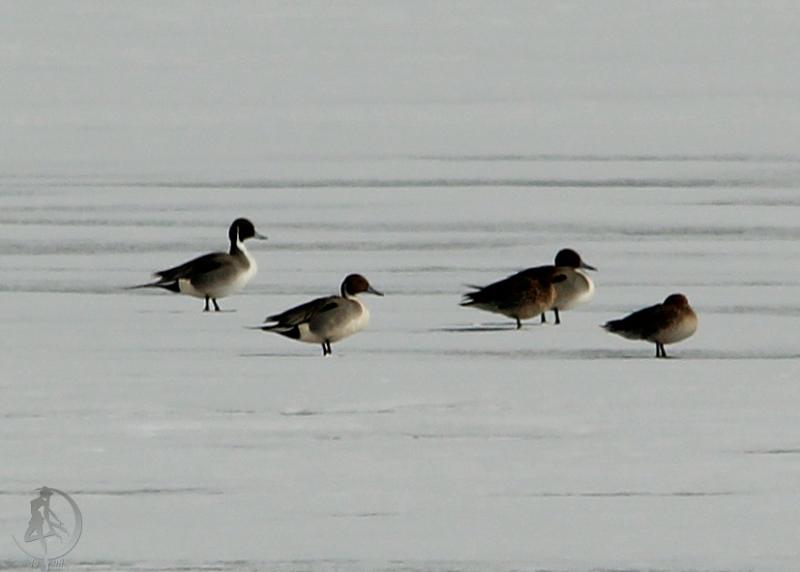20120321.10.jpg