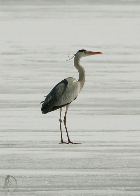 20120321.23.jpg