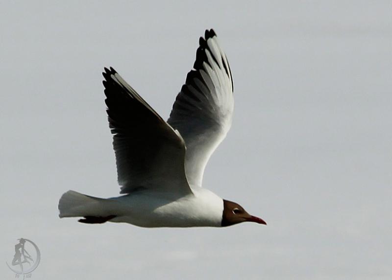 20120321.31.jpg