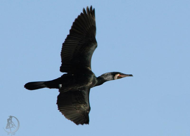 20120321.35.jpg