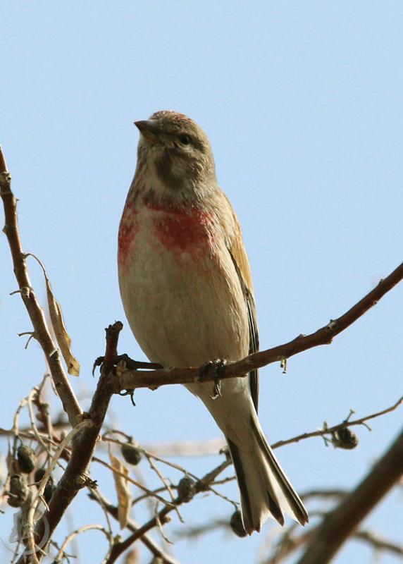 20120323.15.jpg