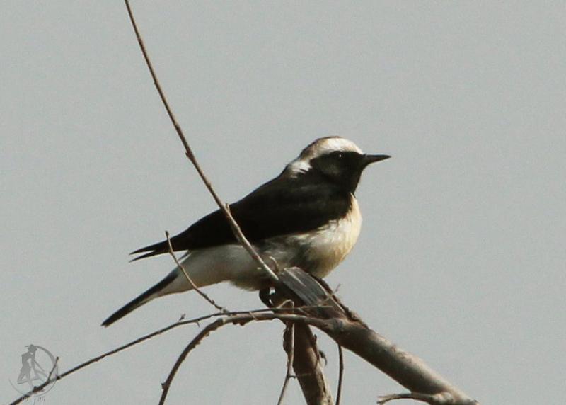 20120323.1.jpg