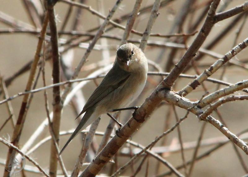 20120323.4.jpg