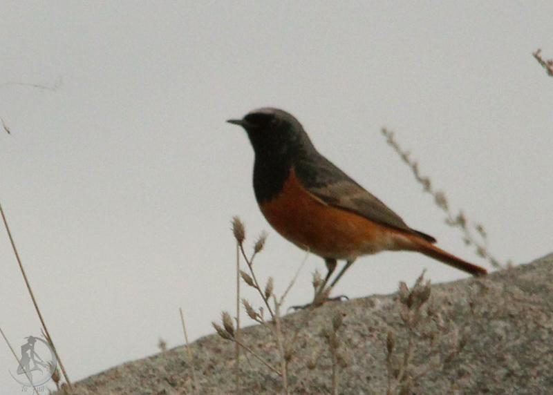 20120401.15.jpg