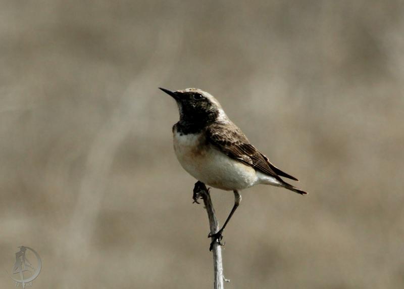 20120401.3.jpg