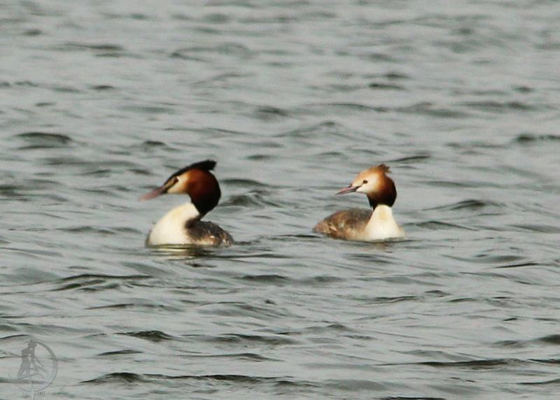 20120401.4.jpg