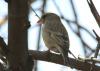 20120405.6_t1.jpg