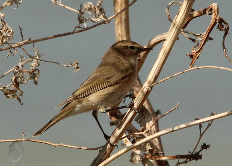 20120407.48.jpg