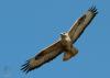 20120407.56_t1.jpg