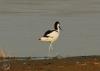20120407.80_t1.jpg