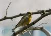 20120416.2_t1.jpg