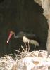 20120421.13_t1.jpg